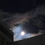 Tao Tsuchiya Instagram - 明けて今日2日は ８月の満月、スタージョンムーン🌕 正確には３時３２分が満月だそうですが 歩いていたら見つけたので 遅い時間ですが、おすそわけを。 . 台風の進路に近い方々は どうかお大事にしてください。 そして 安全な夜を…！