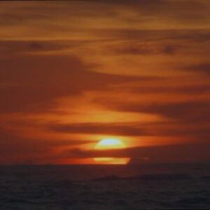 Tara Basro Instagram - Mendengarkan album ke 2 @salpriadi ada perasaan yang begitu istimewa muncul… haru, sedih tapi hangat dan tentunya ada lagu yang bikin senyum2 sendiri. Terima kasih Sal sudah mempercayakan aku dan @ken.danuja untuk membuat 2 video klip sekaligus, dan bisa menjadi bagian dari team mengombang ambing perasaan orang ketika menikmati karyamu, ini menjadi pengalaman pertama dan sangat berharga buat kami. Support dari kalian yang sudah nonton juga luar biasa. Untuk yang belum, bisa ditonton full videonya di youtube @salpriadi selamat menikmati “Dari Planet Lain” dan “Semua Lagu Cinta” 

Credits Dari Planet Lain

Director : Ken & Tara
Producer : Tara Basro
Director of Photography : Ken DA
Editor : Ken & Tara
Colorist : Ken & Tara
Make up Artist : Tara Basro
Baju Planet: Syifa Nurfantin KENAKAN
Team Kenakan Abiseka
Talent : 
Ken & Tara
Reza Chandika
Sal Priadi
Kunto Aji
Natasha Abigail
Iyas Lawrence
Indy
Kiki Aulia Ucup
Dimas Ario
Jarome Kurnia
Rendy Pandugo
Tri wardoyo
Anya Anggarda
Sarah Deshita
Alby
Sarah Tobing
Bianda Nevansky

Special Thanks to Krapela

Credits Semua Lagu Cinta
Director : Ken & Tara
Producer : Tara Basro
Director of Photography : Ken
Art Director : Tara Basro
Editor : Ken & Tara
Colorist : Ken & Tara
Operator Kamera Adegan Wedding Muchammad Hafidz
Make Up Artist : Aditya Vagueskin
MUA Team Deviana Iwan
Hair do : Eka Sari Wahyuni
Wedding Attire: Syifa Nurfantin, KENAKAN
Team Kenakan Abiseka & Yasmin
Jewelry : Tiffany & Co 
Styling : Tara Basro
Nails : Capriques

Special Thanks to 
RUCI Art Space
Milari, Duo Exhibition oleh Hedi Soetardja dan Made Wiguna Valasara
Rio Pasaribu