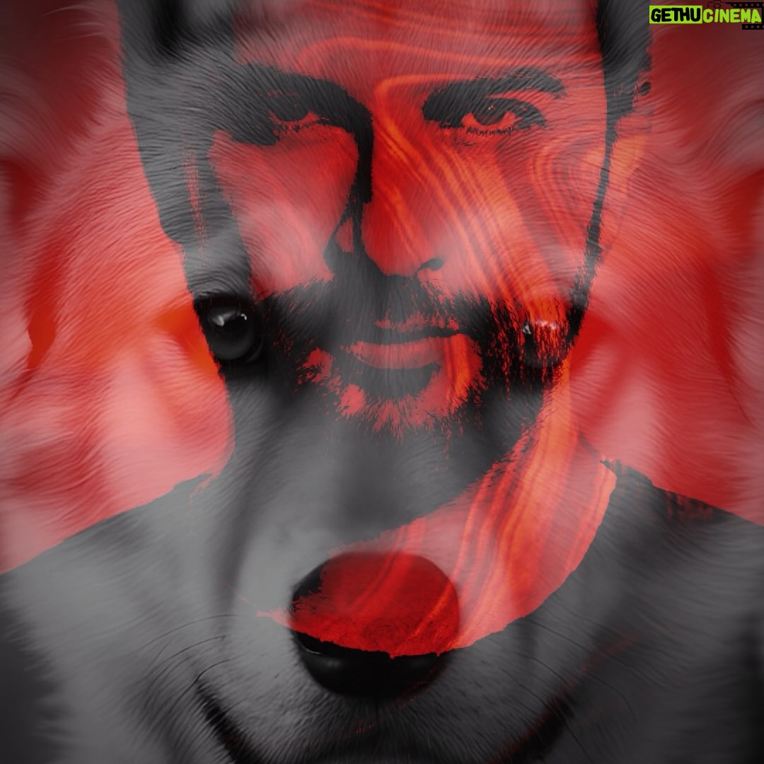 Tarkan Instagram - Sokak hayvanlarını öldürmek bir çözüm değil. Belediyelerin sokak hayvanları konusuna daha vicdani ve mantıklı çözümlerle yaklaşması gerek. Sokak hayvanları, sistematik kısırlaştırmayla, barınakların artırılmasıyla kontrol altına alınabilir. Bize katliamlar değil, elimizi kalbimize koyarak bulduğumuz çözümler yakışır. #sokakhayvanları #sokakhayvanlarıyaşasın #hakparçalanmazbütündür