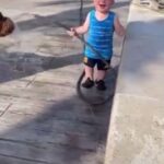 Taryn Manning Instagram - Happy baby laughing playing with his doggy 😇😂 #happybaby #doggy #hoseok