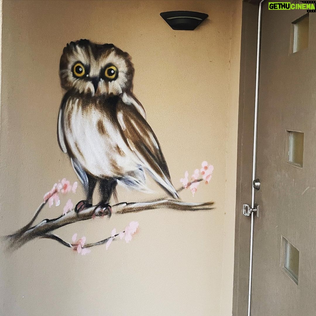 Taryn Manning Instagram - The wisdom never fails though… @muckrock 🎨🖌