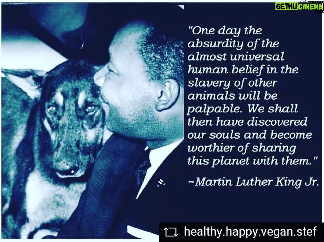 Taryn Manning Instagram - Repost from @plantbasedcapocuoco • What did King mean by Injustice anywhere is a threat to justice everywhere? Basically, King was arguing that citizens of a nation are interconnected and that it is wrong to accept justice in some locations, but injustice in others. If injustice exists anywhere, it is a negative force and is harmful even to places where justice currently exists. As well ..... this is talking about the animals. As humans love their freedoms, As well as freedom from pain and suffering upon their selves. They should ALSO TRY TO AVOID CAUSING IT TO OTHERS. 🥺#mlk