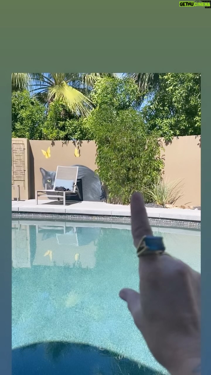 Taryn Manning Instagram - Peace brings peace #dragonfly #nature #peace