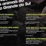 Tatá Werneck Instagram - Estou pondo nos stories tb . Me marquem nas instituições que acham que são confiáveis pra divulgar