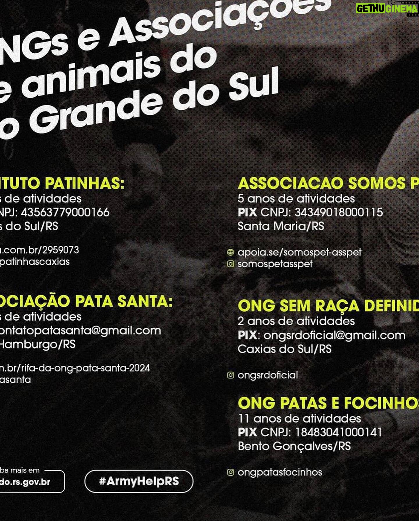 Tatá Werneck Instagram - Estou pondo nos stories tb . Me marquem nas instituições que acham que são confiáveis pra divulgar
