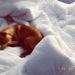 Tati Gabrielle Instagram - “ When I wake up in the morning love, and the sunlight hurts my eyes...”