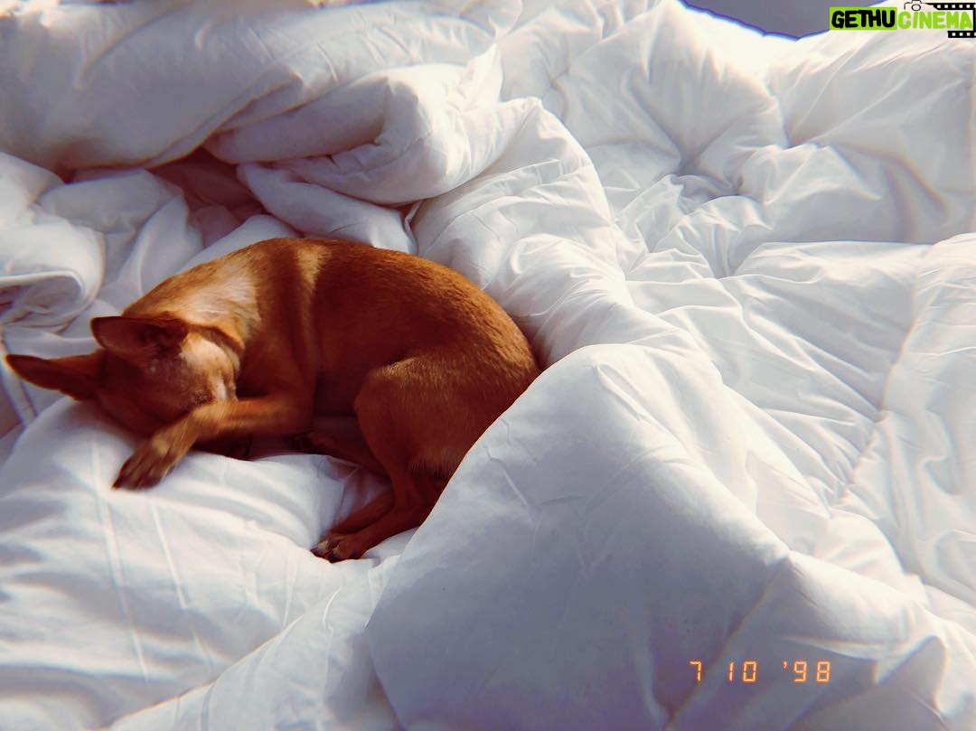 Tati Gabrielle Instagram - “ When I wake up in the morning love, and the sunlight hurts my eyes...”