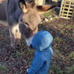 Tatiana-Laurence Delarue Instagram - Attention ⚠️ Partage de bonnes ondes💫💭 Quand deux êtres 👶🏽🫏 magiques se rencontrent ... Câlin d'amour avec l'ânesse💝 La Vie Est Magnifique 🐏🦆🐥🐦🦤🐴🐩🐝 🍯 Avez-vous déjà passé une journée en famille, dans une ferme pédagogique ? #alaferme #fermepedagogique