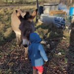 Tatiana-Laurence Delarue Instagram - Attention ⚠️ Partage de bonnes ondes💫💭 Quand deux êtres 👶🏽🫏 magiques se rencontrent ... Câlin d'amour avec l'ânesse💝 La Vie Est Magnifique 🐏🦆🐥🐦🦤🐴🐩🐝 🍯 Avez-vous déjà passé une journée en famille, dans une ferme pédagogique ? #alaferme #fermepedagogique