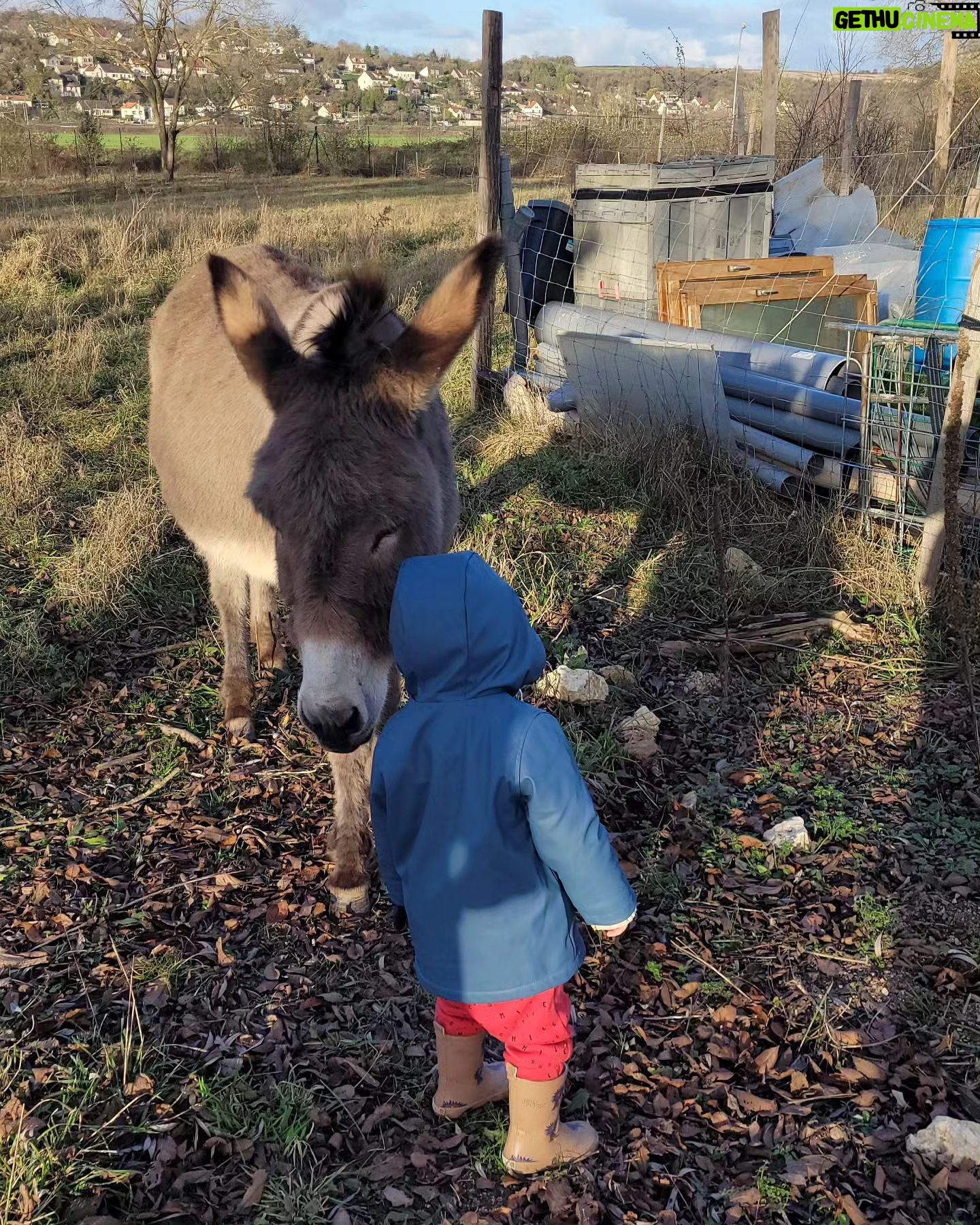 Tatiana-Laurence Delarue Instagram - Attention ⚠️ Partage de bonnes ondes💫💭 Quand deux êtres 👶🏽🫏 magiques se rencontrent ... Câlin d'amour avec l'ânesse💝 La Vie Est Magnifique 🐏🦆🐥🐦🦤🐴🐩🐝 🍯 Avez-vous déjà passé une journée en famille, dans une ferme pédagogique ? #alaferme #fermepedagogique