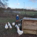 Tatiana-Laurence Delarue Instagram - Attention ⚠️ Partage de bonnes ondes💫💭 Quand deux êtres 👶🏽🫏 magiques se rencontrent ... Câlin d'amour avec l'ânesse💝 La Vie Est Magnifique 🐏🦆🐥🐦🦤🐴🐩🐝 🍯 Avez-vous déjà passé une journée en famille, dans une ferme pédagogique ? #alaferme #fermepedagogique
