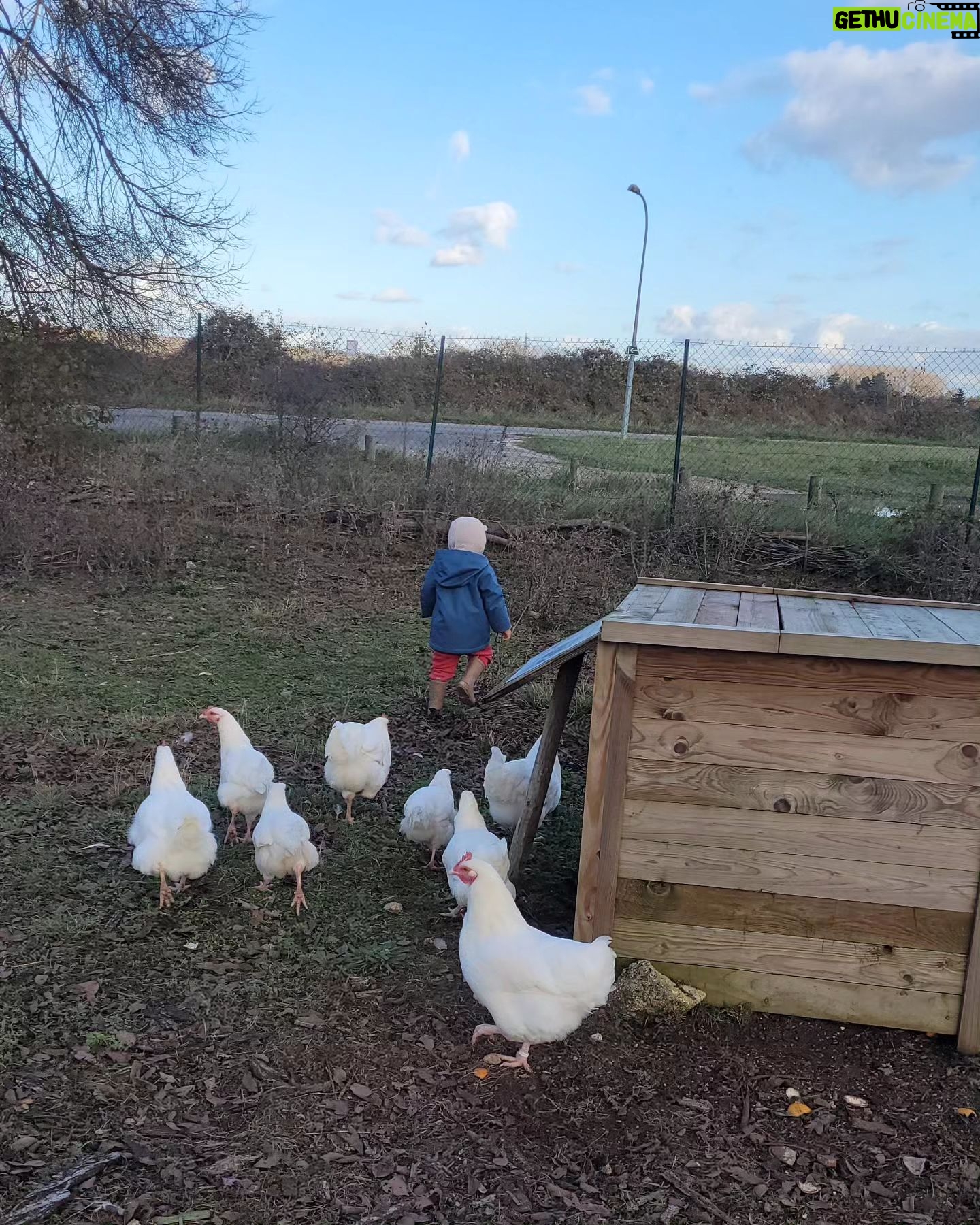 Tatiana-Laurence Delarue Instagram - Attention ⚠️ Partage de bonnes ondes💫💭 Quand deux êtres 👶🏽🫏 magiques se rencontrent ... Câlin d'amour avec l'ânesse💝 La Vie Est Magnifique 🐏🦆🐥🐦🦤🐴🐩🐝 🍯 Avez-vous déjà passé une journée en famille, dans une ferme pédagogique ? #alaferme #fermepedagogique