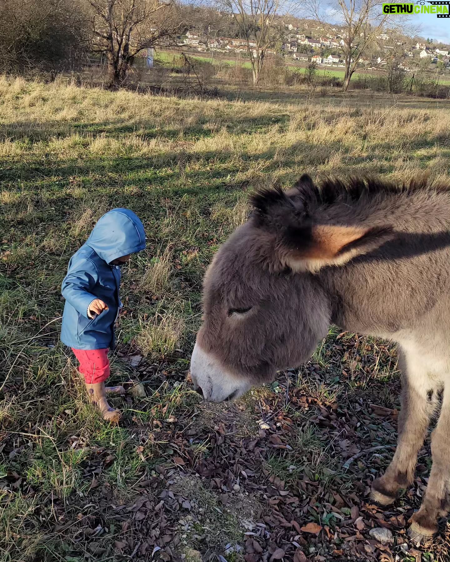 Tatiana-Laurence Delarue Instagram - Attention ⚠️ Partage de bonnes ondes💫💭 Quand deux êtres 👶🏽🫏 magiques se rencontrent ... Câlin d'amour avec l'ânesse💝 La Vie Est Magnifique 🐏🦆🐥🐦🦤🐴🐩🐝 🍯 Avez-vous déjà passé une journée en famille, dans une ferme pédagogique ? #alaferme #fermepedagogique