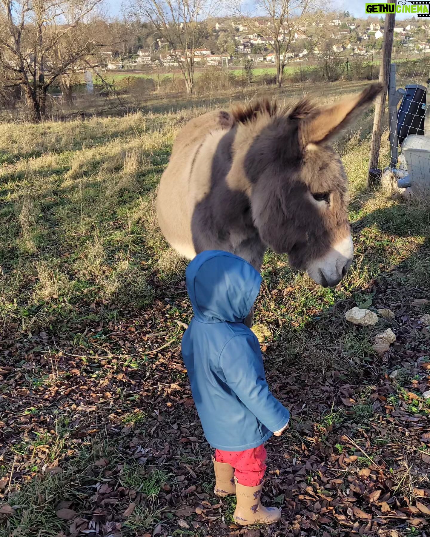 Tatiana-Laurence Delarue Instagram - Attention ⚠️ Partage de bonnes ondes💫💭 Quand deux êtres 👶🏽🫏 magiques se rencontrent ... Câlin d'amour avec l'ânesse💝 La Vie Est Magnifique 🐏🦆🐥🐦🦤🐴🐩🐝 🍯 Avez-vous déjà passé une journée en famille, dans une ferme pédagogique ? #alaferme #fermepedagogique