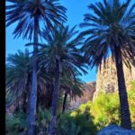Tatiana-Laurence Delarue Instagram - Cet incroyable canyon au travers une luxuriante et spectaculaire forêt de palmiers , qu'il faut oser traverser, en s'immergerant, tel une amazone c'est vraiment unique.... 🐊 🐍 🦎🐠🪸🐚🦑🦂 L'eau des rivières #Kourtaliotiko et #Megalopotamos viennent s'écouler dans la mer d'une plage au sable fin et eaux d'un bleu unique et d'une clarté cristalline. Paradisiaque! Un endroit comme ça existe vraiment ? Ou c'est dans mes rêves ? 🇬🇷 évidemment je suis tombée dans un trou dans l'eau toute entière, on ne me voyait plus🫣🤭j'ai eu peur ..... Plus de rigolade que de mal, mais un bon coup de flippe quand même hein! 🌊 #crete #greece #preveli #prevelibeach #palmier
