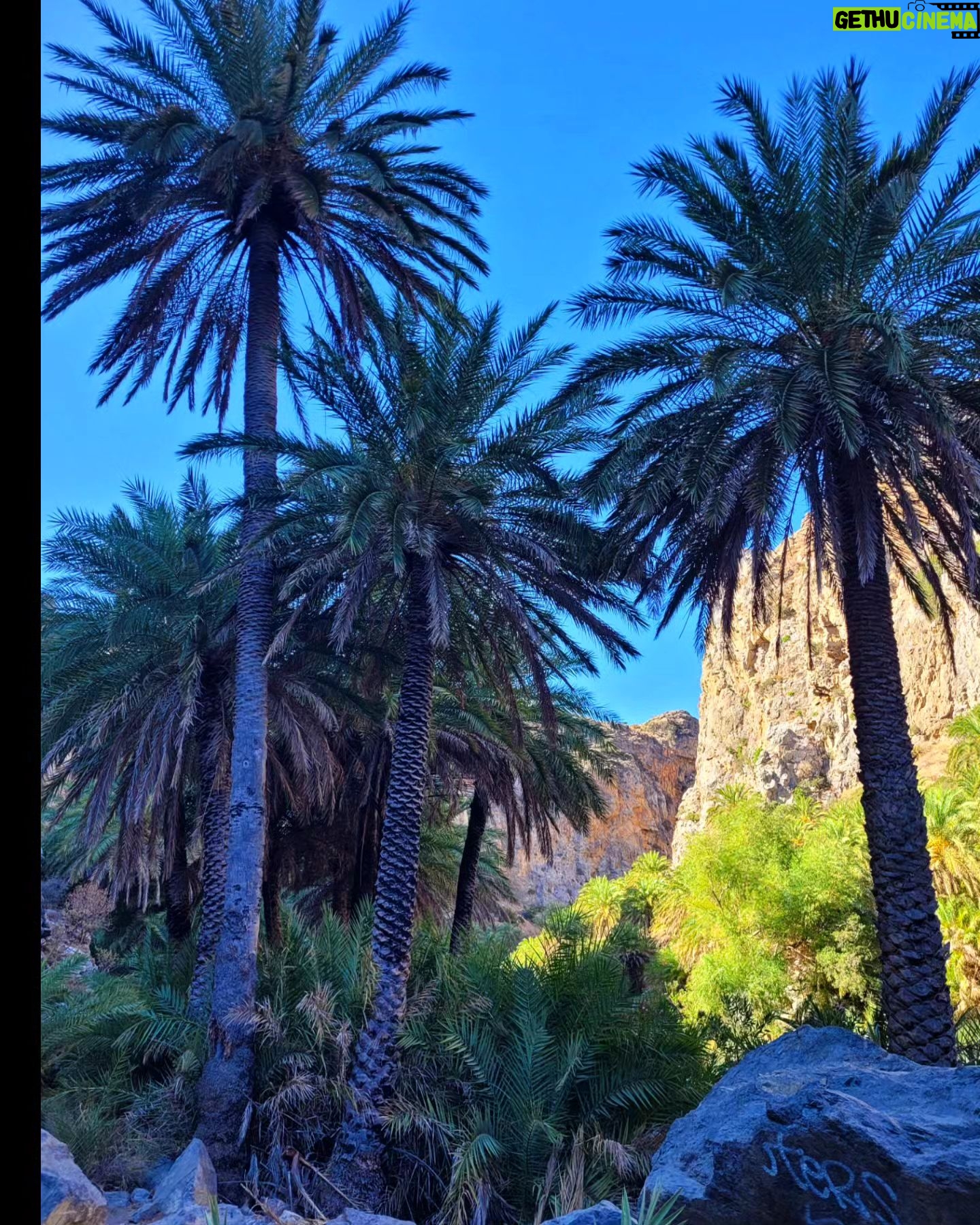 Tatiana-Laurence Delarue Instagram - Cet incroyable canyon au travers une luxuriante et spectaculaire forêt de palmiers , qu'il faut oser traverser, en s'immergerant, tel une amazone c'est vraiment unique.... 🐊 🐍 🦎🐠🪸🐚🦑🦂 L'eau des rivières #Kourtaliotiko et #Megalopotamos viennent s'écouler dans la mer d'une plage au sable fin et eaux d'un bleu unique et d'une clarté cristalline. Paradisiaque! Un endroit comme ça existe vraiment ? Ou c'est dans mes rêves ? 🇬🇷 évidemment je suis tombée dans un trou dans l'eau toute entière, on ne me voyait plus🫣🤭j'ai eu peur ..... Plus de rigolade que de mal, mais un bon coup de flippe quand même hein! 🌊 #crete #greece #preveli #prevelibeach #palmier