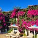 Tatiana-Laurence Delarue Instagram - Après une douce nuit sous les cymbalisations des cigales, le étoiles par milliers et les #bougainvillea plus belles dheure en heure selon la luminosité du soleil, je prend la décision de partir à l'aventure. 🧗🏼‍♀️ Il y a un grand nombre de gorges à visiter, plus incroyables les unes que les autres, si on se donne la peine de faire des randonnées de plusieurs heures, pour les découvrir. Mais! La Crète est magique pour ça.... Sur la route, de secrète criques ce cachent dans tous les recoins de l'île, il suffit d'oser s'y aventurer et, on peut se baigner dans l'eau des lagons transparentes, au panaché de bleu vraiment unique ... En route pour le trekking... un joyaux m'attend ! #crete #ile #grece #beach #lagoon #sea #hikinggorge #hiking #randonnée #trekking #escalade 👼🏽💭❤️