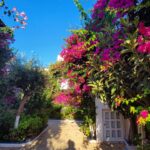 Tatiana-Laurence Delarue Instagram – Après une douce nuit sous les cymbalisations des cigales, le étoiles par milliers et les #bougainvillea plus belles dheure en heure selon la luminosité du soleil, je prend la décision de partir à l’aventure. 🧗🏼‍♀️
Il y a un grand nombre de gorges à visiter, plus incroyables les unes que les autres, si on se donne la peine de faire des randonnées de plusieurs heures, pour les découvrir. 

Mais! La Crète est magique pour ça….
Sur la route, de secrète criques ce cachent dans tous les recoins de l’île, il suffit d’oser s’y aventurer et, on peut se baigner dans l’eau des lagons transparentes, au panaché de bleu vraiment unique …

En route pour le trekking… un joyaux m’attend !

#crete #ile #grece #beach #lagoon #sea #hikinggorge #hiking #randonnée #trekking #escalade

👼🏽💭❤️