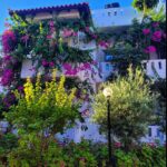Tatiana-Laurence Delarue Instagram - Après une douce nuit sous les cymbalisations des cigales, le étoiles par milliers et les #bougainvillea plus belles dheure en heure selon la luminosité du soleil, je prend la décision de partir à l'aventure. 🧗🏼‍♀️ Il y a un grand nombre de gorges à visiter, plus incroyables les unes que les autres, si on se donne la peine de faire des randonnées de plusieurs heures, pour les découvrir. Mais! La Crète est magique pour ça.... Sur la route, de secrète criques ce cachent dans tous les recoins de l'île, il suffit d'oser s'y aventurer et, on peut se baigner dans l'eau des lagons transparentes, au panaché de bleu vraiment unique ... En route pour le trekking... un joyaux m'attend ! #crete #ile #grece #beach #lagoon #sea #hikinggorge #hiking #randonnée #trekking #escalade 👼🏽💭❤️