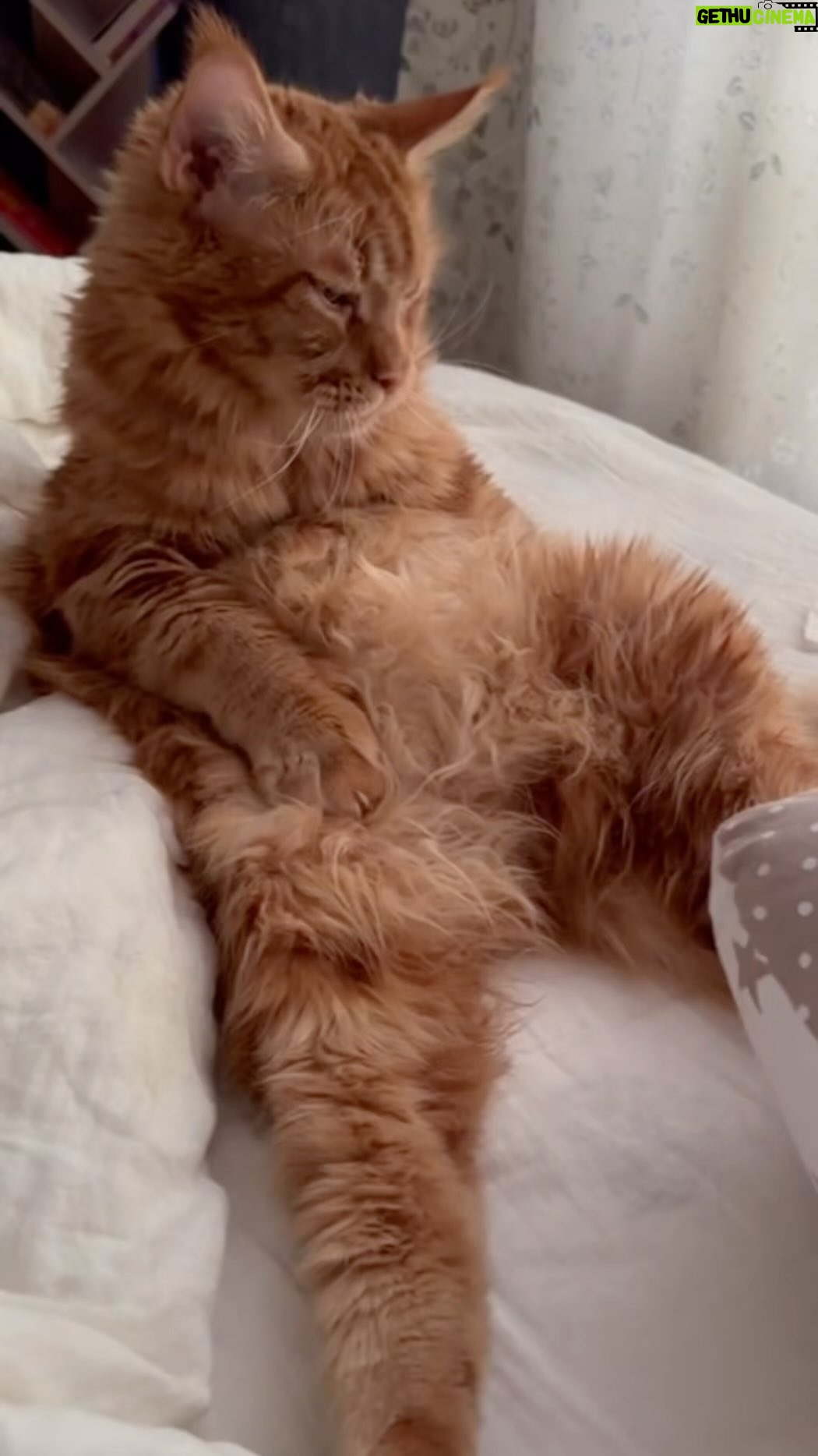 Tatyana Lipnitskaya Instagram - У людей, которые не любят животных, просто аллергия на них 😺❤️ #Лосось