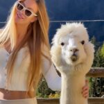 Taylor Mega Instagram - Doveva essere una normalissima colazione con gli alpaca… ma poi si sono innamorati di me 😏😂 @chalet_al_foss