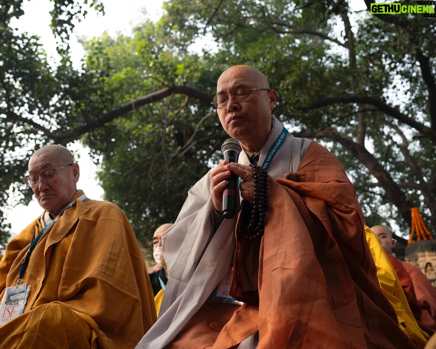 Tenzin Gyatso Instagram - Prayer for World Peace under the Bodhi tree at the Mahabodhi Temple in Bodhgaya, Bihar, India on December 23, 2023. #dalailama #worldpeace #harmony