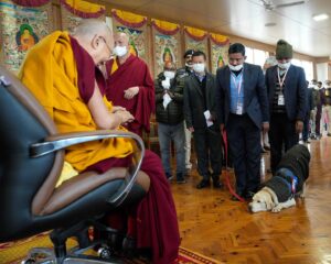 Tenzin Gyatso Instagram - A sniffer dog salutes His Holiness the Dalai Lama, joined by vigilant security personnel, embodying a shared commitment to respect and safeguarding. #dalailama #security #snifferdog