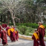 Tenzin Gyatso Instagram - A collection of photographs captured during the ordination ceremony of novice monks and nuns, held at the residence of HHDL in Dharamsala, HP, India on March 2, 2023. Photos by Tenzin Choejor #dalailama #buddhism #ordination #monk #india #tibet #tibetan