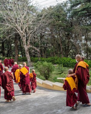 Tenzin Gyatso Instagram - A collection of photographs captured during the ordination ceremony of novice monks and nuns, held at the residence of HHDL in Dharamsala, HP, India on March 2, 2023. Photos by Tenzin Choejor #dalailama #buddhism #ordination #monk #india #tibet #tibetan