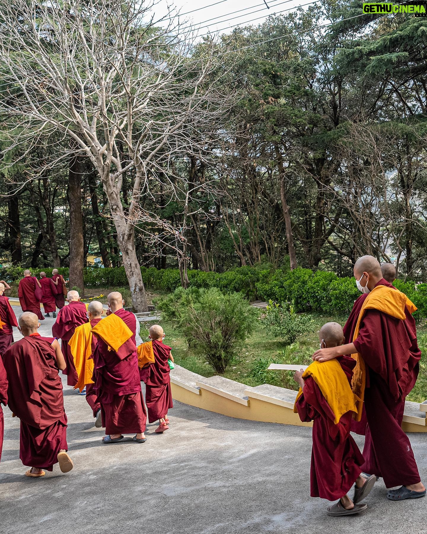 Tenzin Gyatso - 82.5K Likes - A collection of photographs captured during the ordination ceremony of novice monks and nuns, held at the residence of HHDL in Dharamsala, HP, India on March 2, 2023. Photos by Tenzin Choejor #dalailama #buddhism #ordination #monk #india #tibet #tibetan