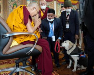 Tenzin Gyatso Instagram - A sniffer dog salutes His Holiness the Dalai Lama, joined by vigilant security personnel, embodying a shared commitment to respect and safeguarding. #dalailama #security #snifferdog