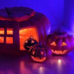 Ter Instagram – Maison Calabaza