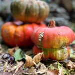 Ter Instagram – la mejor estación 🍂🎃🍄🍁🌙🍂 
t digo una cosa, la foto de las calabazas parece de stock pero la he hecho yo porque compré calabazas xq me dio la gana comprar calabazas. no tiene   recorrido la historia.
y la primera foto me la hizo @sharonlopez en un showroom de @levis_spain <3
