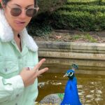 Ter Instagram - 🦚