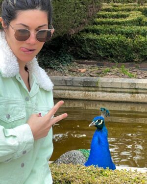Ter Instagram - 🦚
