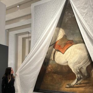 Ter Instagram - Este verano se abre el nuevo museo de Patrimonio Nacional @patrimnacional en Madrid👀 es un museo ppPPPRECioso, tiene cuadros de Velázquez, Caravaggio, tapices enormes con frutitas cosidas, carruajes del siglo XIX, relojes dorados, incluso esculturas de varios metros de altura ✨

Se llama la Galería de Colecciones Reales @galeriacoleccionesreales y está al lado de la Catedral de la Almudena. Es un edificio maravilloso diseñado por Tuñón y Mansilla (que por cierto, fueron profesores míos en la uni 😯😯😯 y nos llevaron a ver este edificio cuando todavía estaba en obras! :O)

La cuestión es que AHORA la Galería sortea 5 entradas dobles para que la podáis visitar antes de su inauguración!!😍 Os harán una visita guiada a solas, como me hicieron a mí (estas fotos son de esa visita, mi parte favorita fue cuando levantamos la protección del caballo de Velázquez... que no tiene a nadie encima! hay hipótesis de que lo dejó pintado para, en caso de que le pidieran urgentemente un retrato ecuestre, tener parte del trabajo hecho a falta de añadir al jinete. Velázquez siendo icónico como siempre)

Los requisitos para participar en el sorteo son:
1️⃣ Seguir a las cuentas de @galeriacoleccionesreales @patrimnacional y @tercosmicqueen
2️⃣ Dar a "Me gusta" en esta publicación.
3️⃣ Mencionar a la persona con la que te gustaría ir a la visita. 
4️⃣ Puedes ganar una participación extra si lo compartes en tus stories. 
 
El sorteo se cierra el jueves 25 de mayo (incluido). El viernes 26 de mayo, la Galería publicará los nombres de los ganadores en sus redes sociales💖