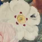 Ter Instagram - flipo con haber hecho una foto flor bicho IDÉNTICA al cuadro de mi último vídeo, t juro q es una foto real no está hecha con midjourney afgsjgsfffsf