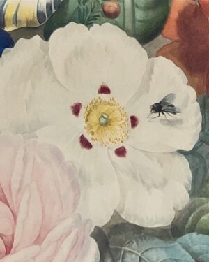 Ter Instagram - flipo con haber hecho una foto flor bicho IDÉNTICA al cuadro de mi último vídeo, t juro q es una foto real no está hecha con midjourney afgsjgsfffsf