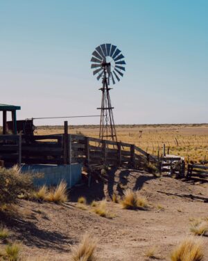 Tere Kuster Instagram - La reserva Natural Estancia San Lorenzo se encuentra dentro del área natural protegida Península Valdés a 160 km de la ciudad de Puerto Madryn, provincia de Chubut, Patagonia Argentina.

Sobre sus costas hay una colonia de más de 600.000 pingüinos de Magallanes 🐧🖤