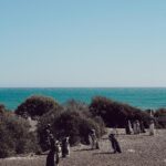 Tere Kuster Instagram – La reserva Natural Estancia San Lorenzo se encuentra dentro del área natural protegida Península Valdés a 160 km de la ciudad de Puerto Madryn, provincia de Chubut, Patagonia Argentina.

Sobre sus costas hay una colonia de más de 600.000 pingüinos de Magallanes 🐧🖤