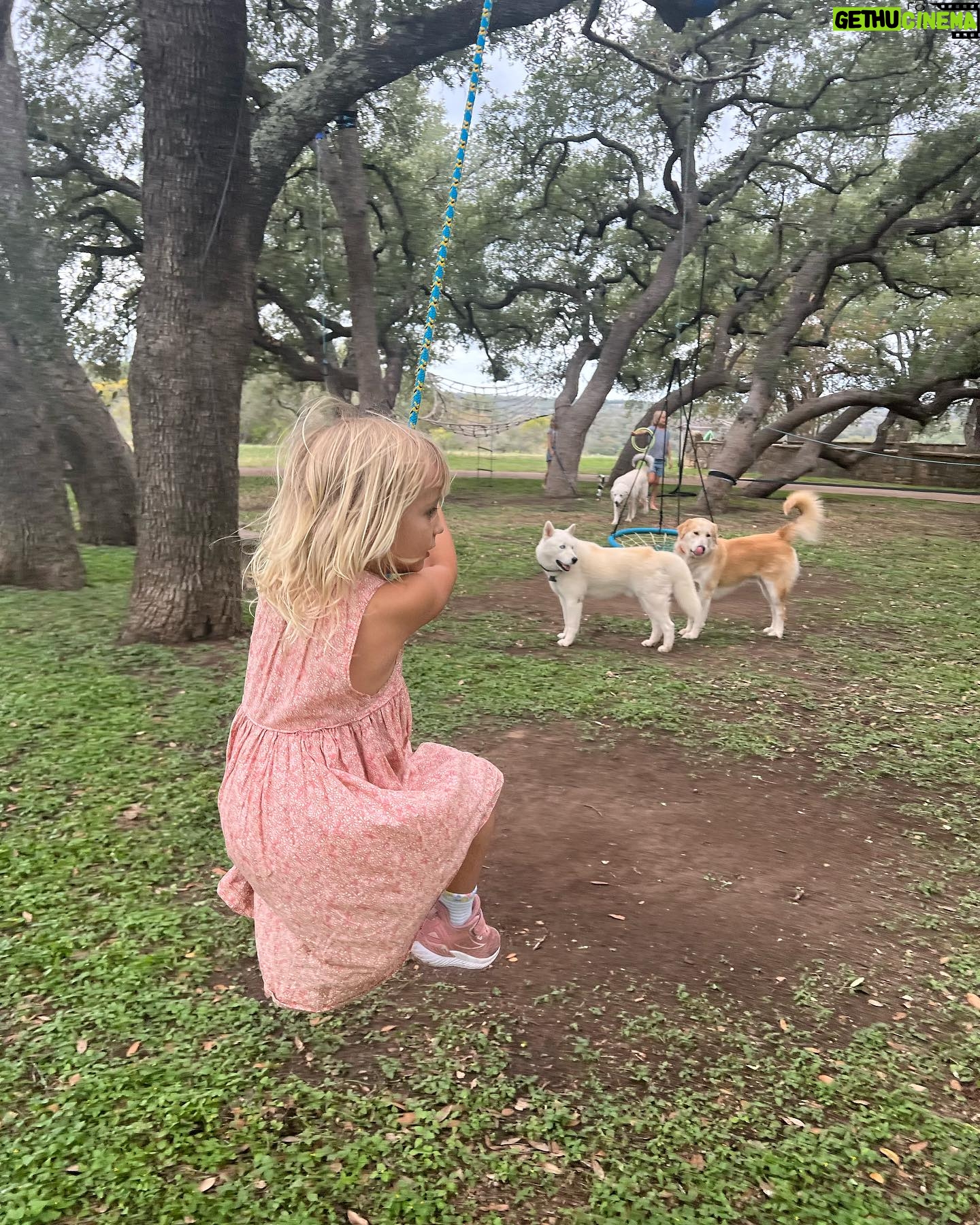 Teresa Palmer Instagram - This trip, these adventures ๐ฅน last night on the road. Reminded of/learnt these past two weeks; Commune living for the win Magic is real Sisterhood is everything Board games are majorly our thing Pyrenees farm dogs x 4 please Soulful connections gimme life Iโd like a pet donkey Terrence Malick is everything Austin has amazing vegan food Burger King Impossible burger is ๐ค My mum is SUCH a baller Less stuff, more us Manifesting is legit Which witch is which Iโm a Monopoly Deal savant Washer/dryer-in-one wrinkles clothes #Rvlife is our happy place ๐ฆ๐ฎ๐งโโ๏ธโจ๐ฝ๐ฒ๐๐ต๐๐๏ธ๐ด๐ฏโโ๏ธ๐จโ๐ฉโ๐งโ๐ง๐จโ๐ฉโ๐ฆโ๐ฆ๐โค๏ธ P.s we rented our fully stocked RV from Glampers California, a small family owned and operated business. I already miss our home away from home on wheels. We rented the Tiffin 2020, sleeps 8 and is called the โThe Memory Makerโ (and it sure was!) we used their code to receive 10% off and you can too, itโs โGlampersโ, book at www.glampersca.com