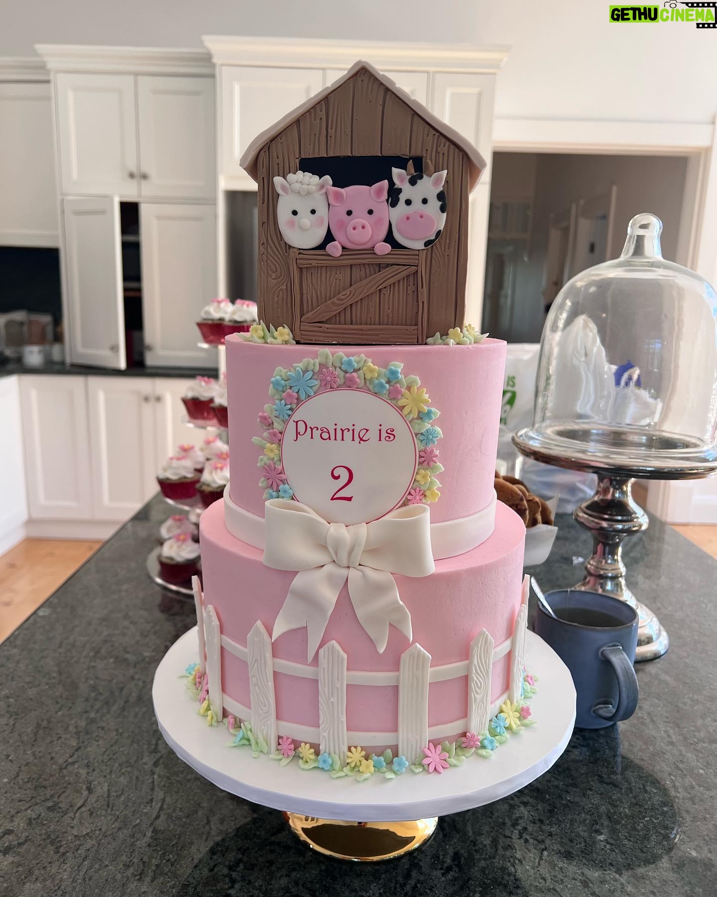 Teresa Palmer Instagram - It’s Prairie party time!! 🌙🧚🏻 Happy 2nd birthday sweetheart. What a day 🤪🥰✨💤 The sun came out and shined it’s goodness down on us all! such awesome friends showed up to celebrate you today Miss Moon! nothing like the chaos of a birthday party with sugar junkie kids running wild makes me happier, Legit! We also had a bunch of legends upleveling the party today like Nat from @oldmacfarmssasouth who brought her sweet furry friends for cuddles, @vanessavoodoo rocking not only the coolest hair in town but also the maddest skill set decorating these little human faces. (She’s NEXT LEVSSS Adelaide!) And the beautiful Anita from @smalldelights showing up year after year, kid after kid and making the most beautiful and TASTY vegan birthday cakes in all the land. Also @oasisinadelaide, what a perfect sanctuary you’ve created here and we felt so excited to host the party in this beautiful space, loved seeing all these little people filling the home up with joy. Also mad props to my Dad KP and @kaarenpalmerchampagne for bringing the booze which the adults guzzled heartily and the freshly made bread with truffle oil #winning Can’t believe our baby of the family is 2! 🥹🥹 P.s Figured out my fav ditch-the-junkyass-party-bag hack; buy cheap white t-shirts in all different sizes plus fabric paints, glitter & markers and let the kids run amok weeeee k ✌🏼