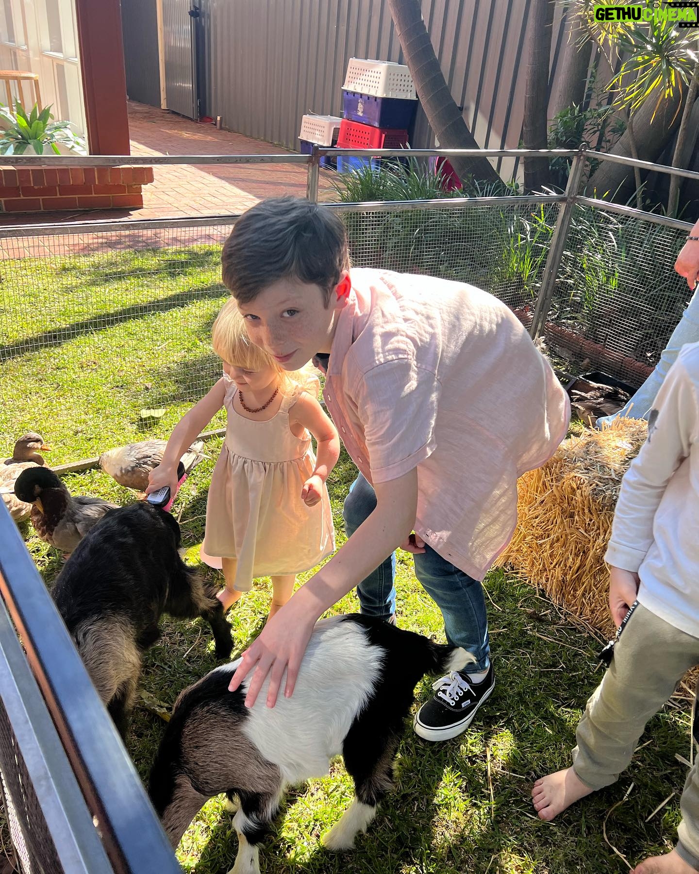Teresa Palmer Instagram - It’s Prairie party time!! 🌙🧚🏻 Happy 2nd birthday sweetheart. What a day 🤪🥰✨💤 The sun came out and shined it’s goodness down on us all! such awesome friends showed up to celebrate you today Miss Moon! nothing like the chaos of a birthday party with sugar junkie kids running wild makes me happier, Legit! We also had a bunch of legends upleveling the party today like Nat from @oldmacfarmssasouth who brought her sweet furry friends for cuddles, @vanessavoodoo rocking not only the coolest hair in town but also the maddest skill set decorating these little human faces. (She’s NEXT LEVSSS Adelaide!) And the beautiful Anita from @smalldelights showing up year after year, kid after kid and making the most beautiful and TASTY vegan birthday cakes in all the land. Also @oasisinadelaide, what a perfect sanctuary you’ve created here and we felt so excited to host the party in this beautiful space, loved seeing all these little people filling the home up with joy. Also mad props to my Dad KP and @kaarenpalmerchampagne for bringing the booze which the adults guzzled heartily and the freshly made bread with truffle oil #winning Can’t believe our baby of the family is 2! 🥹🥹 P.s Figured out my fav ditch-the-junkyass-party-bag hack; buy cheap white t-shirts in all different sizes plus fabric paints, glitter & markers and let the kids run amok weeeee k ✌🏼