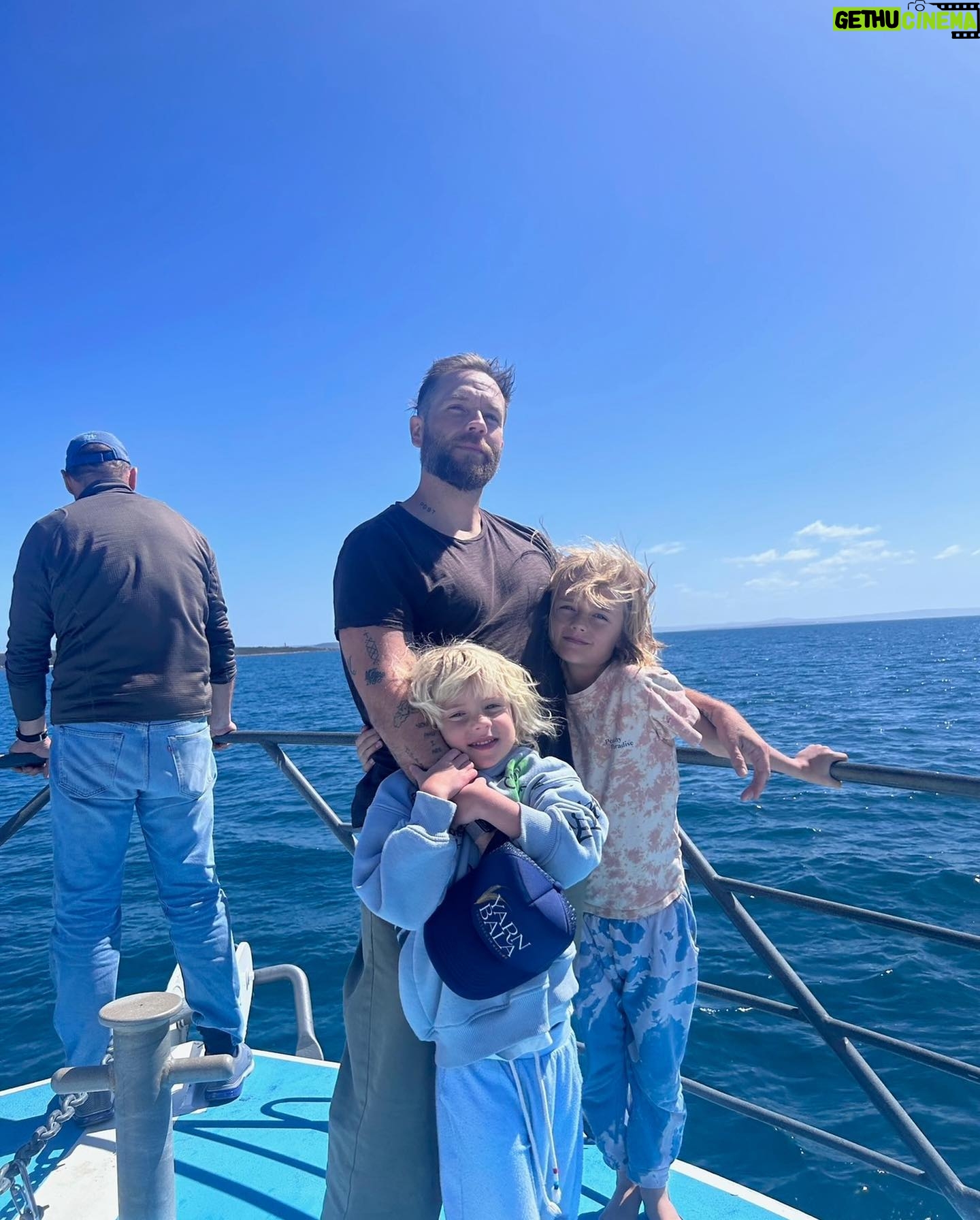 Teresa Palmer Instagram - For the last ten days we’ve been on the road in an RV together as a family. We’ve been largely unplugged, it’s just been us and our conversations. It’s been the most present and deeply impactful time, which we have all been craving. The other day Bodhi reminded me of the “some kind of mystique” he experienced back in @southaustralia as he was under the water swimming with the sea lions (with the wonderful @calypsostarcharters). It’s those moments when nature really stops you in your tracks and words escape the feeling, the marvel. It’s truly healing, nature. ✨✨ I love sharing all the special hidden gems from my home state with people from all over the world. Sending love to everyone ❤️ P.s how WILD is that mating call koalas make? I’ve never seen it in person before! thanks to @auscoastsafaris for taking us to @mikkirastationkoalasanctuary for this up close and personal experience #seesouthaustralia #travelyourway