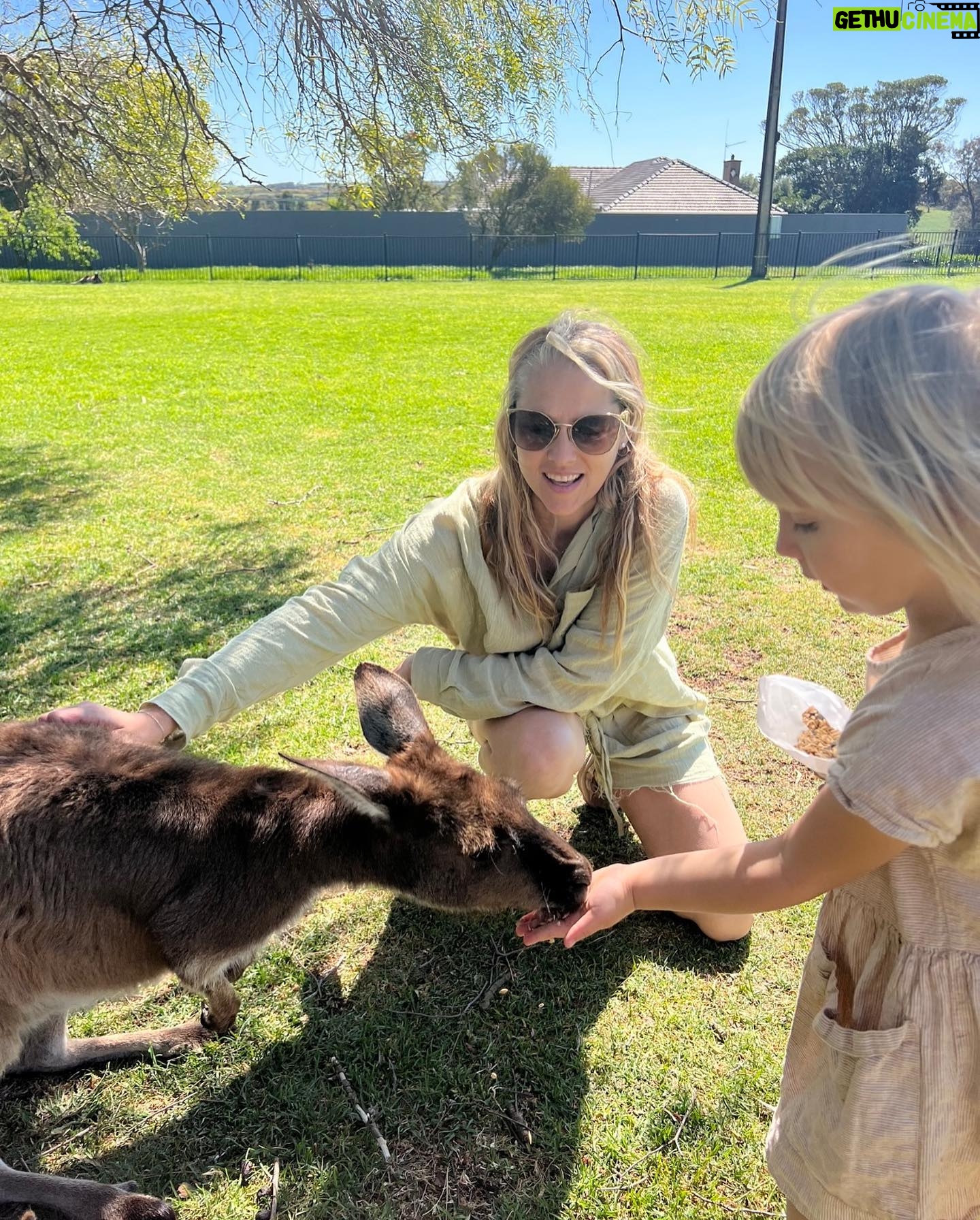 Teresa Palmer Instagram - For the last ten days we’ve been on the road in an RV together as a family. We’ve been largely unplugged, it’s just been us and our conversations. It’s been the most present and deeply impactful time, which we have all been craving. The other day Bodhi reminded me of the “some kind of mystique” he experienced back in @southaustralia as he was under the water swimming with the sea lions (with the wonderful @calypsostarcharters). It’s those moments when nature really stops you in your tracks and words escape the feeling, the marvel. It’s truly healing, nature. ✨✨ I love sharing all the special hidden gems from my home state with people from all over the world. Sending love to everyone ❤️ P.s how WILD is that mating call koalas make? I’ve never seen it in person before! thanks to @auscoastsafaris for taking us to @mikkirastationkoalasanctuary for this up close and personal experience #seesouthaustralia #travelyourway