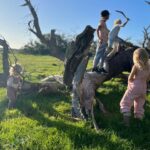 Teresa Palmer Instagram – For the last ten days we’ve been on the road in an RV together as a family. We’ve been largely unplugged, it’s just been us and our conversations. It’s been the most present and deeply impactful time, which we have all been craving. The other day Bodhi reminded me of the “some kind of mystique” he experienced back in @southaustralia as he was under the water swimming with the sea lions (with the wonderful @calypsostarcharters). It’s those moments when nature really stops you in your tracks and words escape the feeling, the marvel. It’s truly healing, nature. ✨✨ I love sharing all the special hidden gems from my home state with people from all over the world. Sending love to everyone ❤️
P.s how WILD is that mating call koalas make? I’ve never seen it in person before! thanks to @auscoastsafaris for taking us to @mikkirastationkoalasanctuary for this up close and personal experience #seesouthaustralia #travelyourway