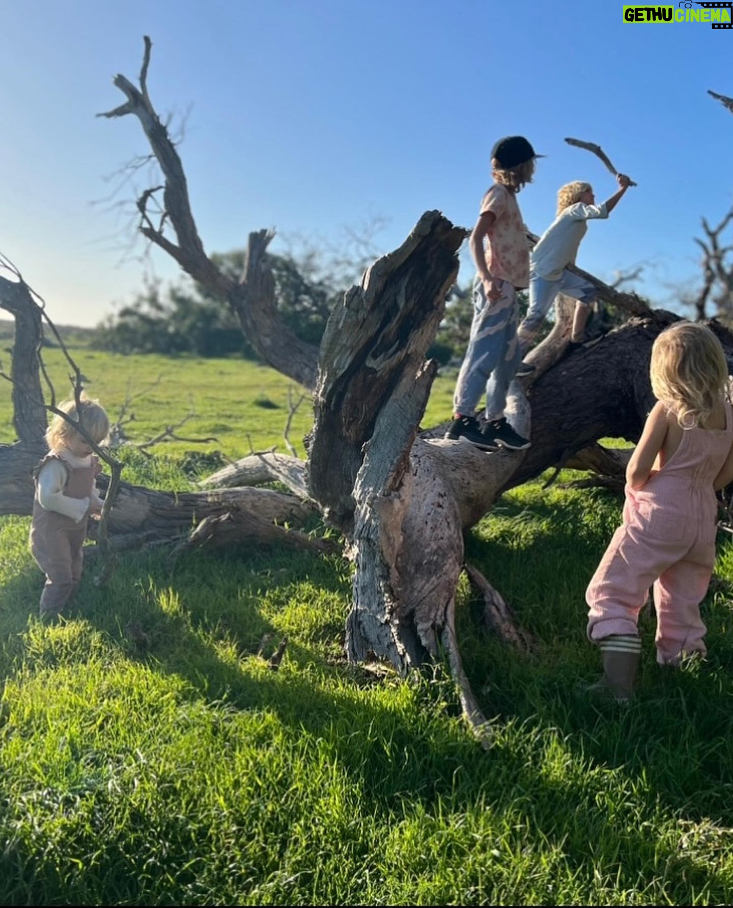 Teresa Palmer Instagram - For the last ten days we’ve been on the road in an RV together as a family. We’ve been largely unplugged, it’s just been us and our conversations. It’s been the most present and deeply impactful time, which we have all been craving. The other day Bodhi reminded me of the “some kind of mystique” he experienced back in @southaustralia as he was under the water swimming with the sea lions (with the wonderful @calypsostarcharters). It’s those moments when nature really stops you in your tracks and words escape the feeling, the marvel. It’s truly healing, nature. ✨✨ I love sharing all the special hidden gems from my home state with people from all over the world. Sending love to everyone ❤️ P.s how WILD is that mating call koalas make? I’ve never seen it in person before! thanks to @auscoastsafaris for taking us to @mikkirastationkoalasanctuary for this up close and personal experience #seesouthaustralia #travelyourway