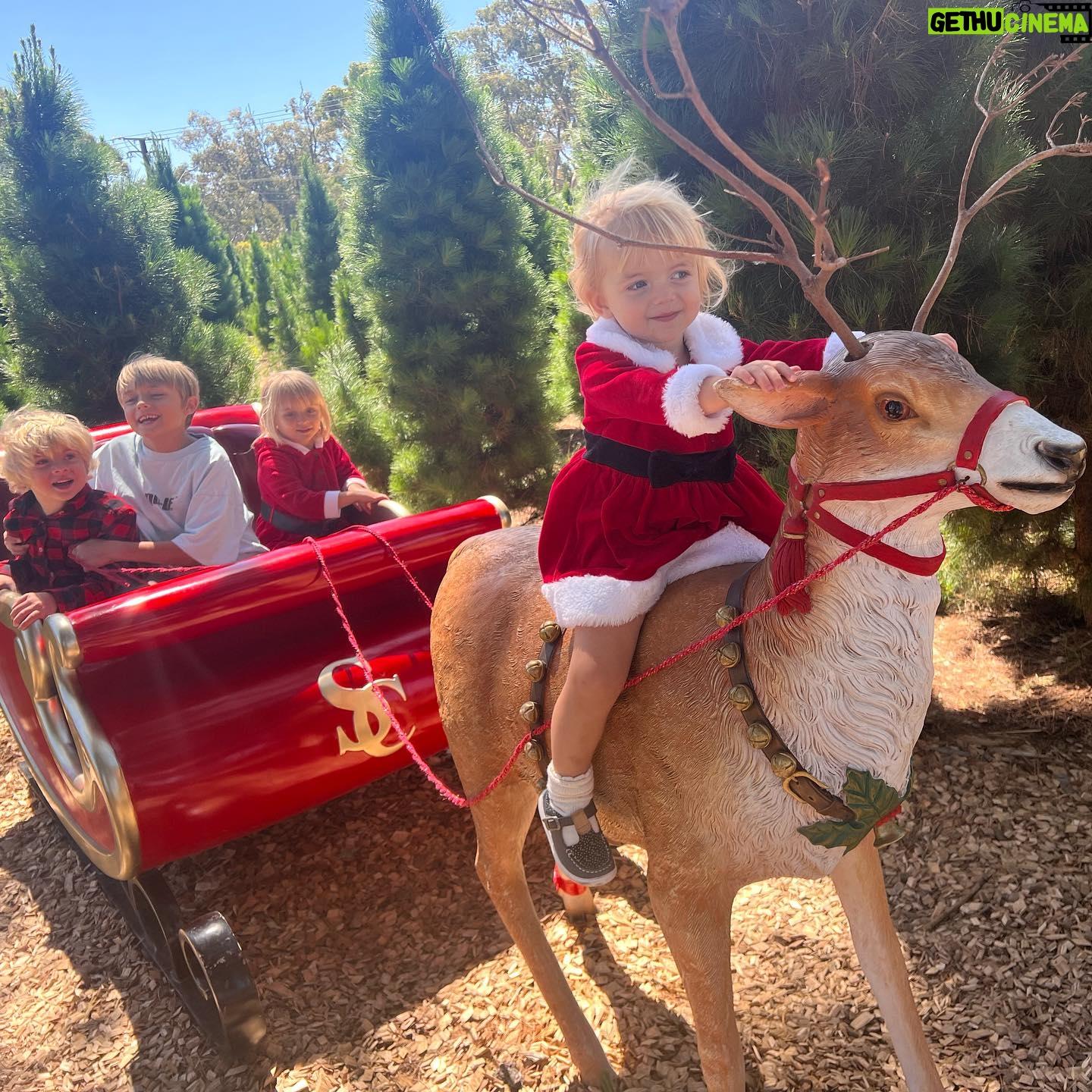 Teresa Palmer Instagram - ๐๐๐ Merry everything!! ๐๐๐what a busy & festive few days. We really did hit the ground running after getting back to Adelaide a few days ago, itโs been non stop Christmas activities since (Iโve been oscillating between the following emoticons ๐๐ซ ๐ฅน๐ฅฐ๐
๐ท๐๐ฅฑ๐) Tomorrow is Nerf gun battle/pool party- invite the whole year level (plus siblings!) 7th birthday party for Forest at our property hahahahahahaha ๐คช๐ค๐ซ๐ณ๐ท๐ - again a true TP special! Anywhoooo hope your week is less wild than ours. For the last episode of @themotherdazepodcast this year, we thought weโd do a little recap of 2023x followed by one of our most popular episode reruns- with the โTo Be Magneticโ Manifesting expert Lacy Phillips who is bridging the gap between science and the law of attraction. This episode has been touted as โlife changingโ by many of our listeners so we thought it was the perfect end of year vibes to see you through to the new year. Thank you to our GORGEOUS Dazey fam. We love doing this podcast with you, you bring so much joy into our lives. Merry All The Things!!!! So much gratitude. โฅ๏ธโฅ๏ธโฅ๏ธ