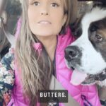 Terra Jolé Instagram - If you know this song you may have gone to @txlionscamp 🤣 Who knows the real title? It was too perfect for #buttersthesaintbernard #saintbernard #stbernard
