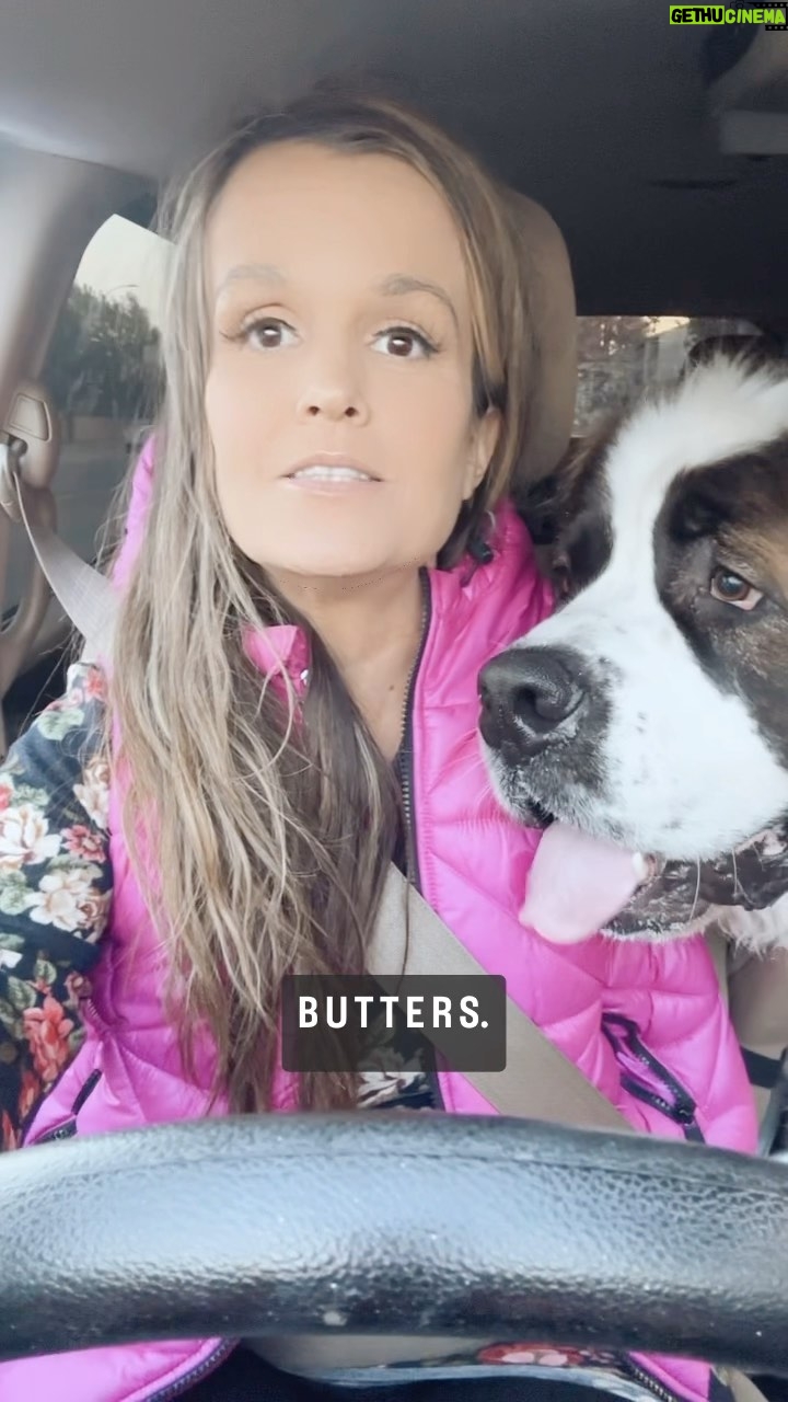 Terra Jolé Instagram - If you know this song you may have gone to @txlionscamp 🤣 Who knows the real title? It was too perfect for #buttersthesaintbernard #saintbernard #stbernard
